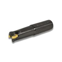 Фреза концевая 30 с механическим креплением 4гр пл-н BLMP 1105 Z=2 ц/х=32 AHF100-R030.11.02.d32 «Русский Инструмент» (РИ)